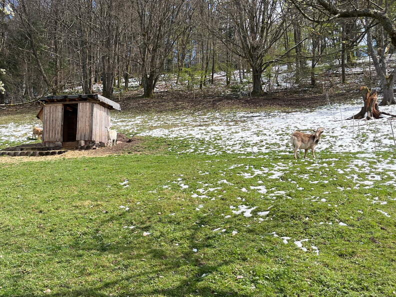 22-04-04 13-31-59 0376